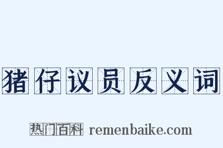 猪仔议员反义词是什么意思的图片